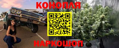 соль ск Будённовск