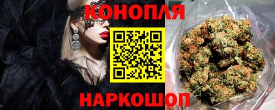 соль ск Будённовск