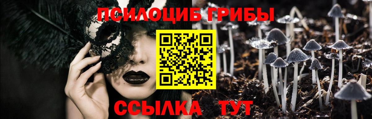Галлюциногенные грибы Magic Shrooms  Вход с VPN  Сухой Лог 